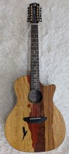 Luna Vista Eagle 12 String Tropical Wood Acoustic Electric Guitar w/Hard Case