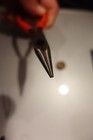 KNIPEX 20 01 160 Tools Flat Nose Pliers w/cutter needle (2001160) 6.3" long — photo 7