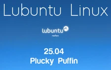 Lubuntu 25.04 Plucky Puffin Bootable USB Flash Drive