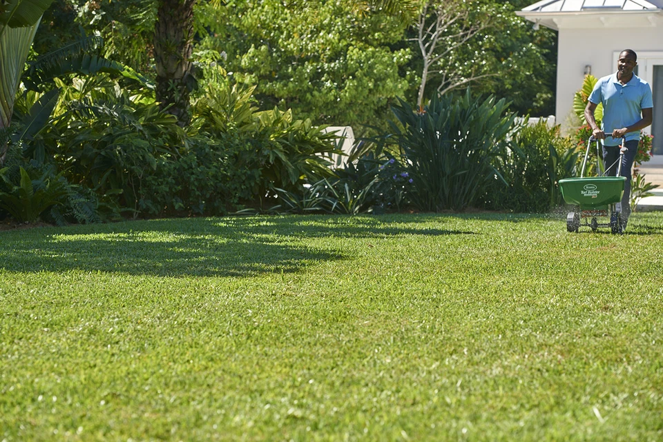 Comida para césped Scotts Southern Turf Builder 42,18 lb. Cubiertas 15.000 m2 ft. Foto 2 de 3