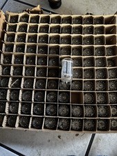 Lot Of 97 12BT3 Grey Plate Made In Canada  Vacuum Tubes 