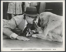 BOB HOPE in A Global Affair '64 LARGE DOG