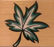 Hero Arts Wood Mounted Rubber Stamp - H1458 Bold Maple Leaf