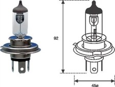 Feu avant (phare) Daf 55