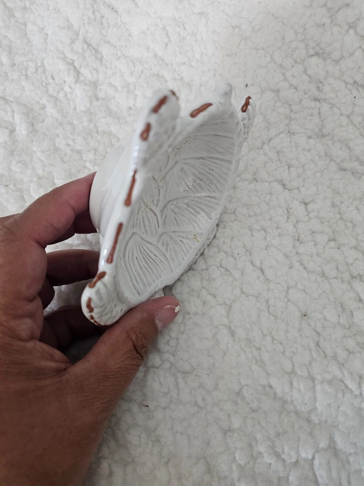 Mini cuenco de inmersión en forma de tortuga Mud Pie blanco Cutie 5" plato de cambio de llave de baratija Foto 4 de 4