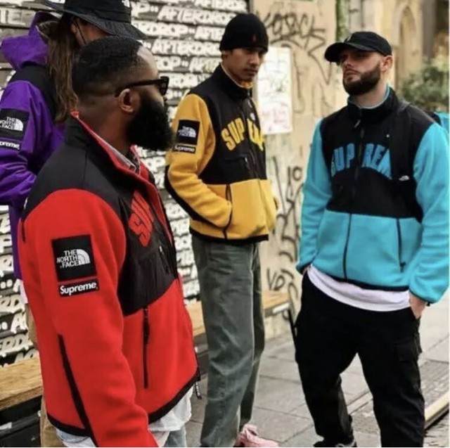 supreme the north face arc logo mountain parka red