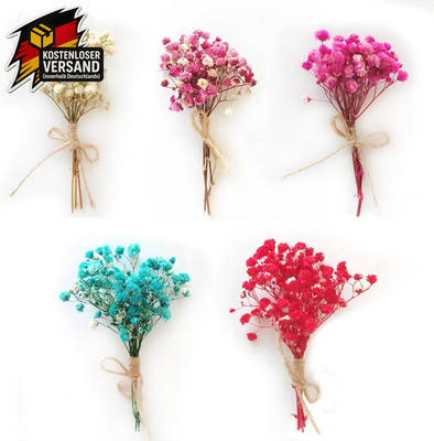 Getrocknete Trockenblumen Set mit 5 Bündeln für Dekoration, Basteln und DIY