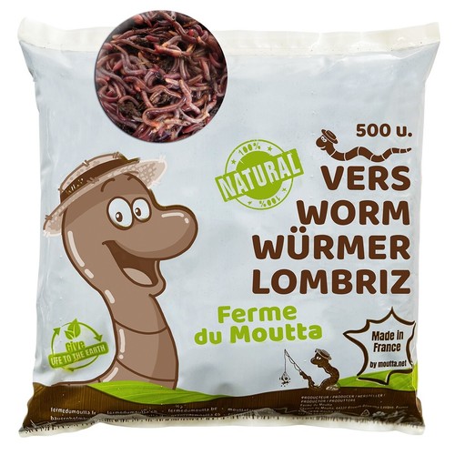 Lombrices | Lombriz de Tierra vivas Eisenia - Afbeelding 6 van 20