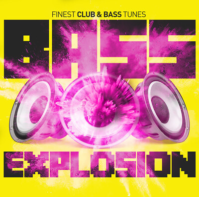 CD Bass Explosion von Various Artists 2CDs