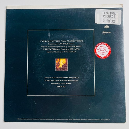 CARMEL - YOU CAN HAVE HIM - RARE 7" PROMO VINYL RECORD 45rpm - Picture 2 of 8
