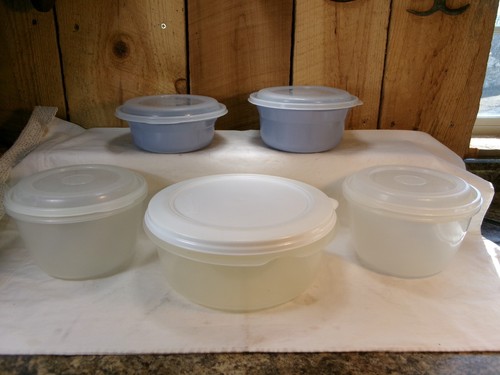 Lote de 5 contenedores de almacenamiento de alimentos Rubbermaid con tapas 20 oz, 32 oz, (2) 6 tazas, 3,2 qt - Imagen 1 de 6