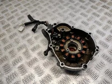 2018 YAMAHA YS 125 Engine Casing Stator Cover and Stator