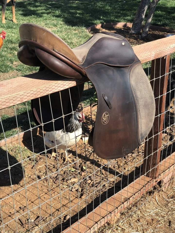 Passier & Sohn 汉诺威盛装舞步马鞍-16.5 英寸-双色棕色柔性树 — 第 2/4 张图片