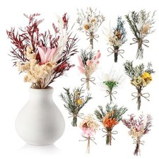 Nuanchu 10 Pcs Mini Dried Flower Bouquet Mixed Natural Dried Classic Styles