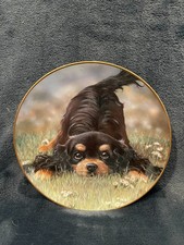 Danbury Mint Collector Plate -