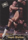 1998 Topps WCW/nWo - Scott Norton #14