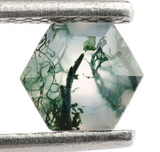 Natural Moss Agate Faceted Hexagon 5X5mm Worry Gemstone Gift For Lovers 0.70 Ct.