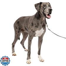 PetSafe Gentle Leader Headcollar No-Pull Dog Collar - Helps Impro