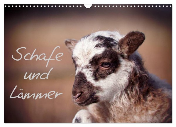 "Calendar 2027 · US Version · Sheep And Lambs (Wall Calendar 2027 17\" × 12\" Lands"-image