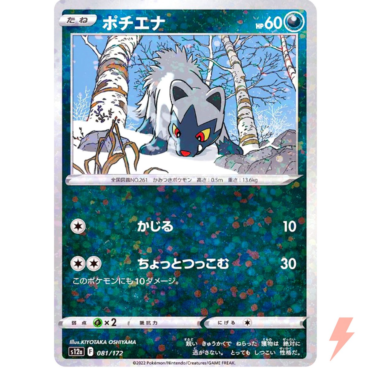 Poochyena (Reverse Holo) 081/172 S12a VSTAR Universe - Pokemon