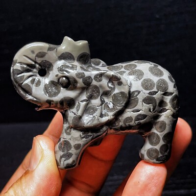 TOP 155G Natural  Handcarved Elephant crystal  Healing L2382