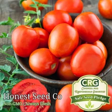 100+ Roma Tomato Seeds | Fresh Garden Seeds | Fresh Vegetable Seeds