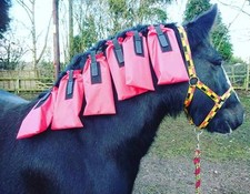 Set Of 6 Light Weight Showerproof Mane Bags