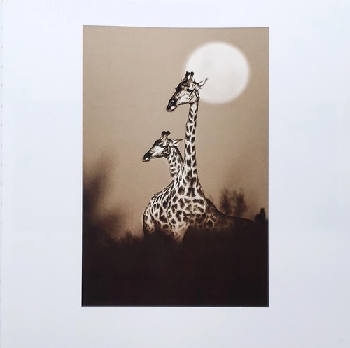 Homage by Graham Springer First Edition 2015 - Picture 3 of 17