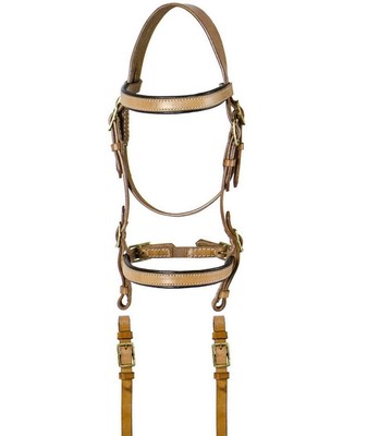 Ensemble de tête et de col poitrine en cuir occidental