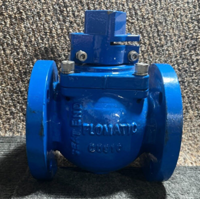 FLOMATIC RESILIENT SEATED GATE VALVE 200PSI D1 POWDER COATED C0910