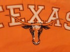 UNIVERSITY OF TEXAS LONGHORNS Orange 3'x5' Flag "BEVO" Logo One Side Rayon NWOT — photo 2