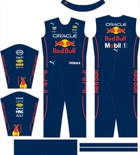 F1 Custom Go Kart Racing Suit CIK/FIA Level 2 Race Suits All Sizes Free Gloves