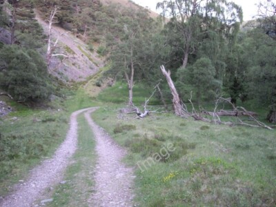 Foto 6x4 Gleiskreuzung Carrachuin Die kartierte Strecke in Glen Feshie ist keine c2010
