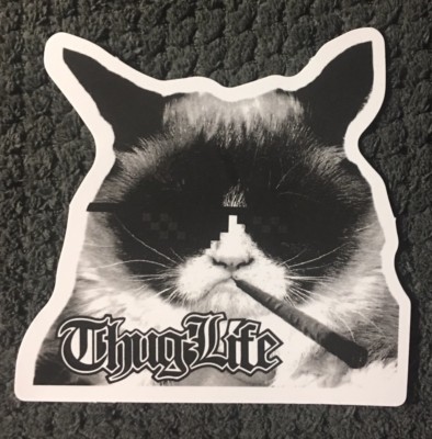 THUG LIFE Grumpy Cat Kitty Blunt vinyl sticker decal 2 3/4 '' x 2 1/2'' guitar