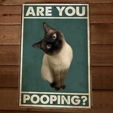 the Are You Pooping Siamese Cat 8x12 Funny Bathroom Metal Wall Sign #5