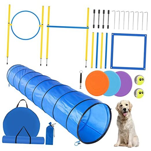 Dog Training Treats Dog Agility Course: Outdoor Obstacle Course