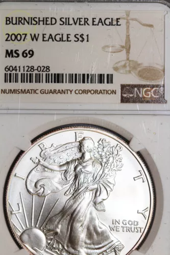 2007-W Burnished American $1 Silver Eagle 1 oz. Fine 999 NGC MS 69 (6041128-028)