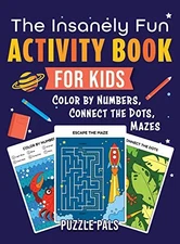The Insanely Fun Activity Book - GOOD