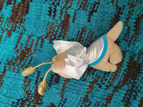 RARE 2003 Neopets Desert Aisha Plush 9” Limited Too Vintage 1 broken ear - Picture 4 of 7