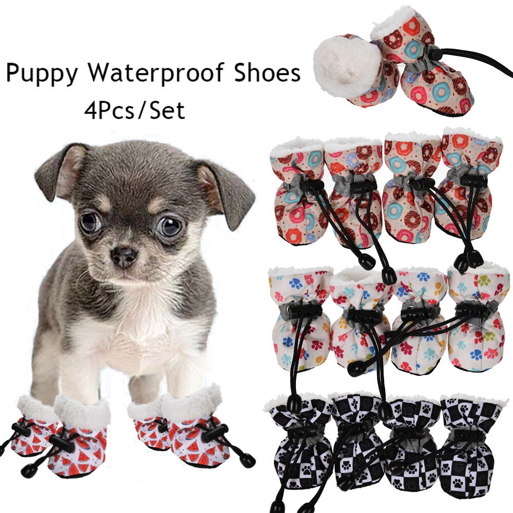 Doposci per sales cani