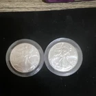 U.S. Mint American Silver Eagle $1 2-Coin Lot 1 oz .999 Silver Uncert