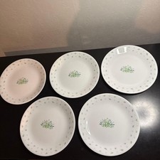 CORELLE plate set of 5
