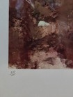 Harley Brown Limited Edition #214/1000 "Charlo Girl" - Signed — photo 6