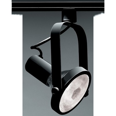 Nuvo Lighting 1 Light PAR38 Track Head Gimbal Ring, Black - TH225 | eBay