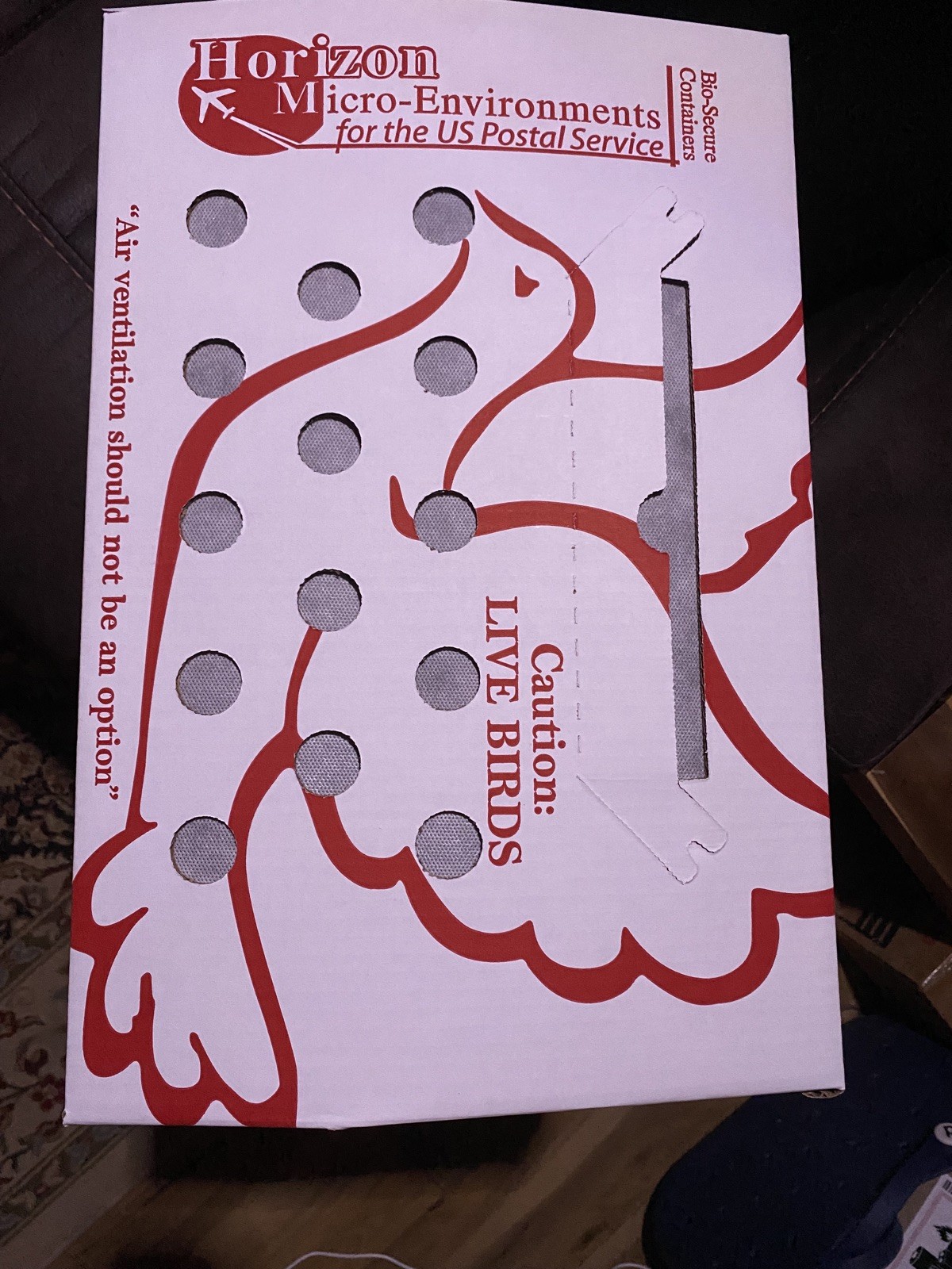 Pure spangled Bates Hatch Over Kelso , A Stag And Pullet (Mom n dad pictured too