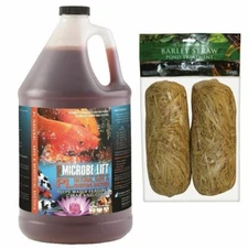 Microbe Lift PL 1 gal Koi Pond Clarifier 10PLG4  Beneficial Bacteria + 2 Barley