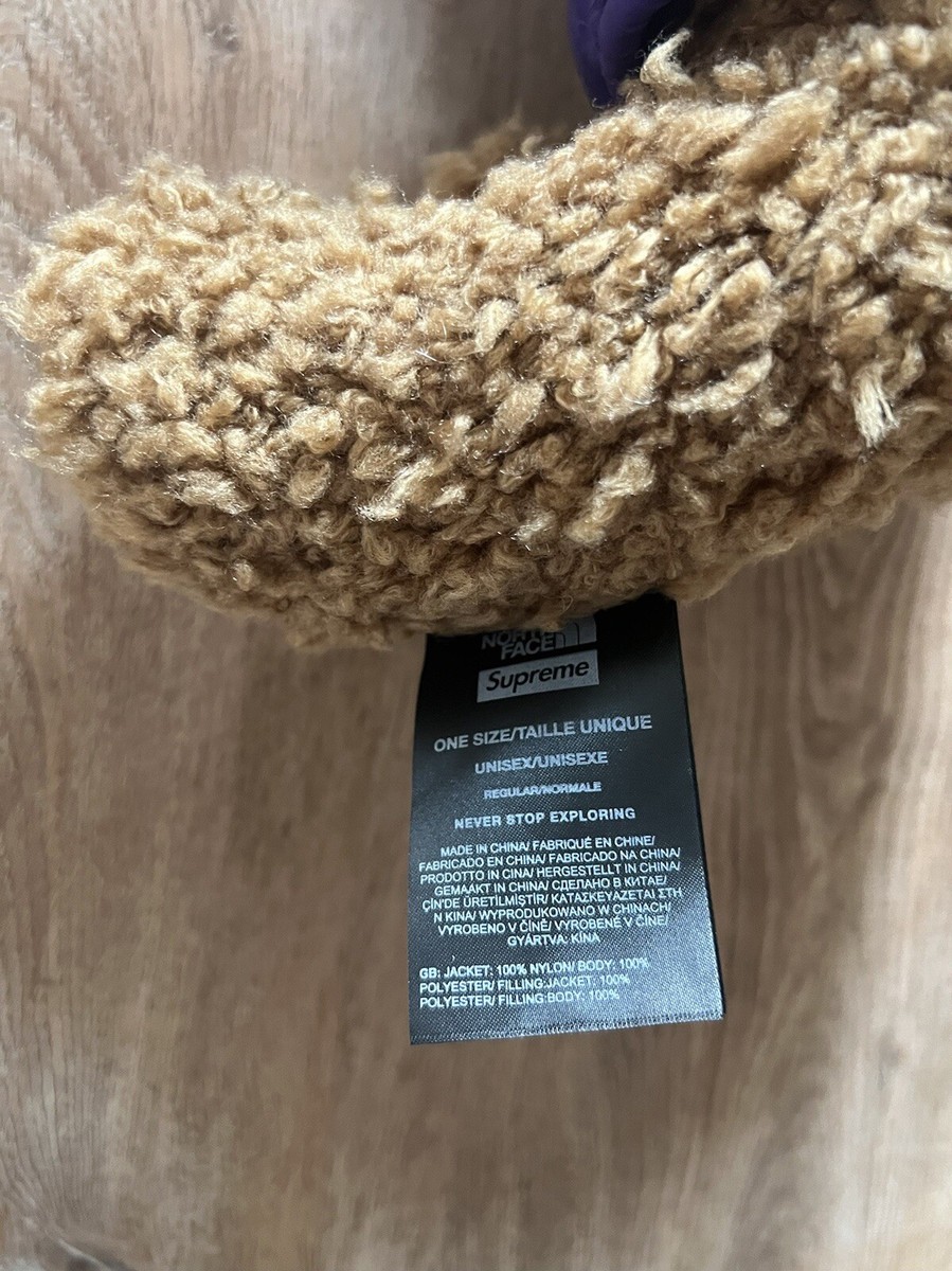Supreme The North Face Bear- Tan | eBay
