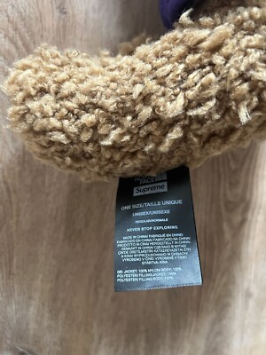 Supreme The North Face Bear- Tan | eBay
