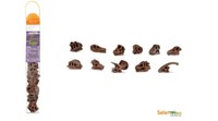 Safari Ltd 687404 Dinosaurier SchäDel (11 Minifiguren) Serie Themengebiet