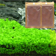 2 Pack Aquarium Plants for Fish Tank, Easy Growing, Real Carpet Decor for Fish T